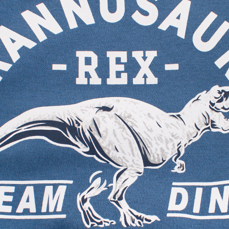 Dinosaur Sweater - Kidnor