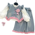 Girl's Denim 3-Piece  Set - Kidnor