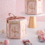 10pcs Gift Box Packaging Baby Shower Kids Birthday Favors Snack Food Candy Cookies Boxes Blue Pink Carousel Bride Party Supplies